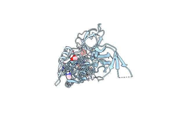 6RMS image