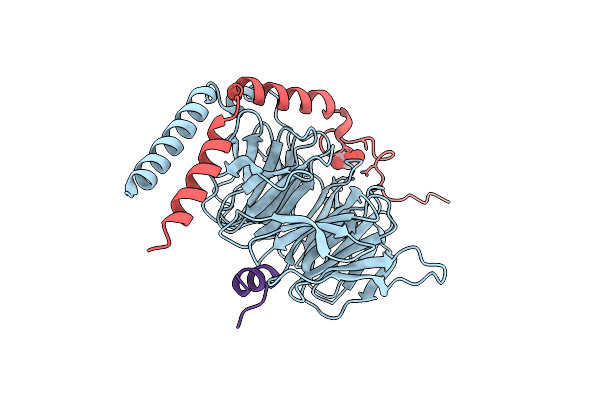 6RMV image