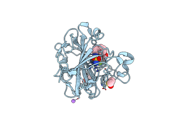 6RMX image