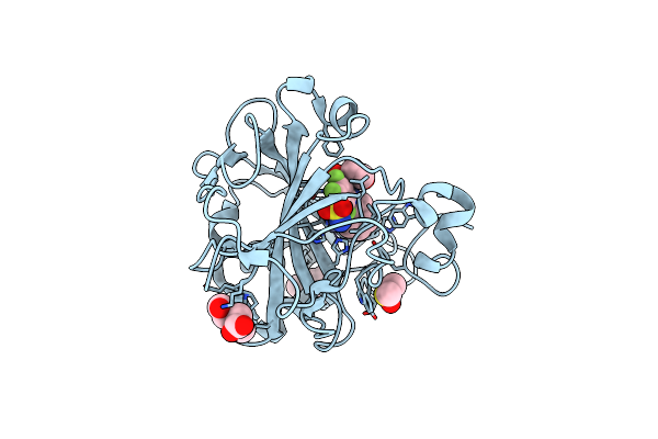 6RMY image