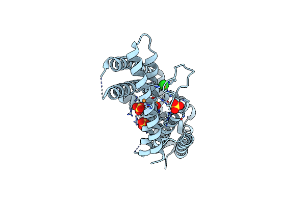 6RN5 image