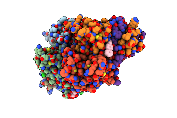 6RN6 image