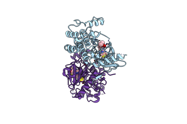 6RNA image