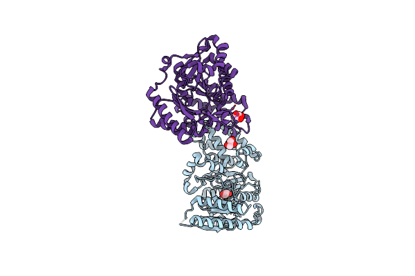 6RNH image