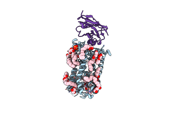 6RNK image