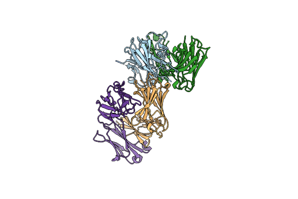 6RNN image