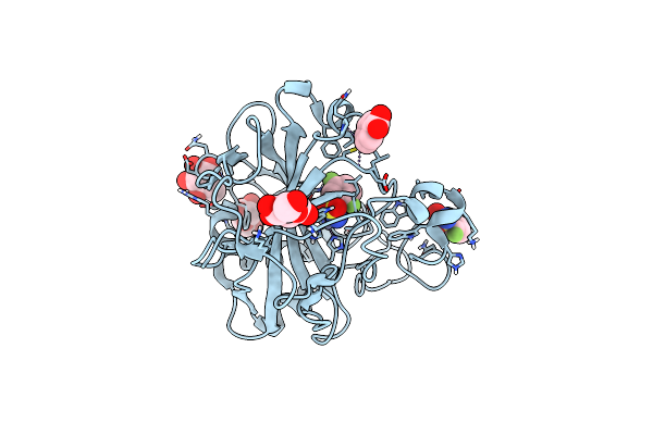 6RNP image