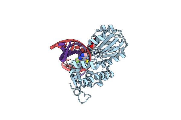 6RNR image