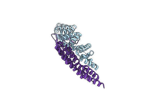 6RNS image