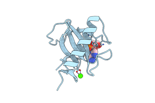 6RNT image