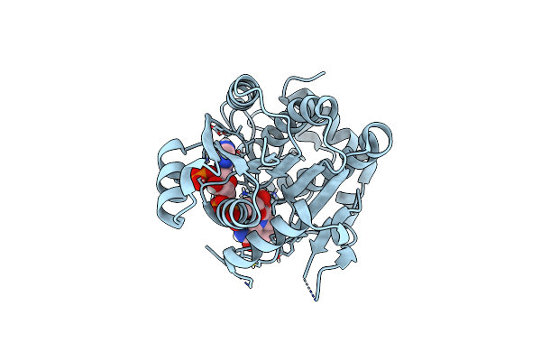 6RNW image