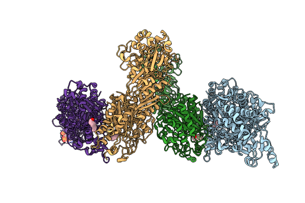 6ROP image