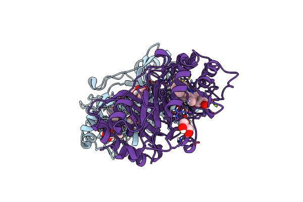 6RPD image