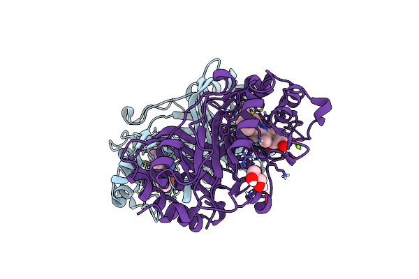 6RPE image