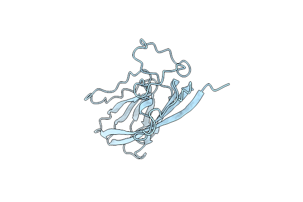 6RPL image