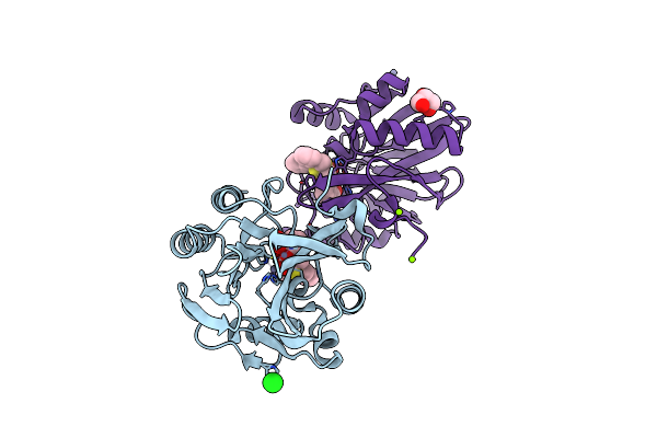 6RPN image