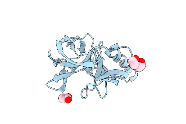 6RPP image