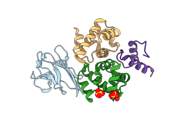 6RPR image