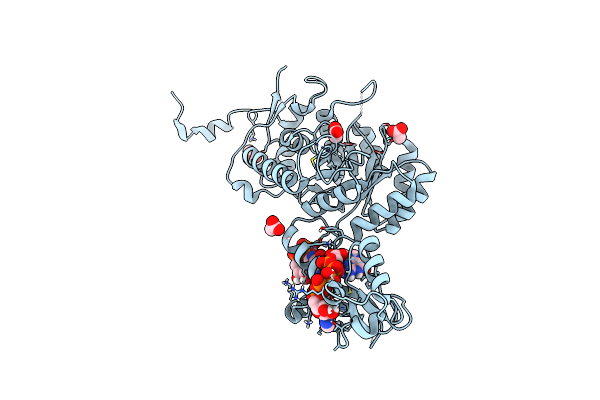 6RPU image