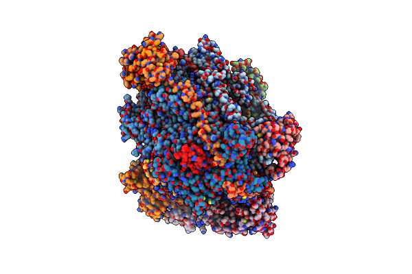 6RQT image
