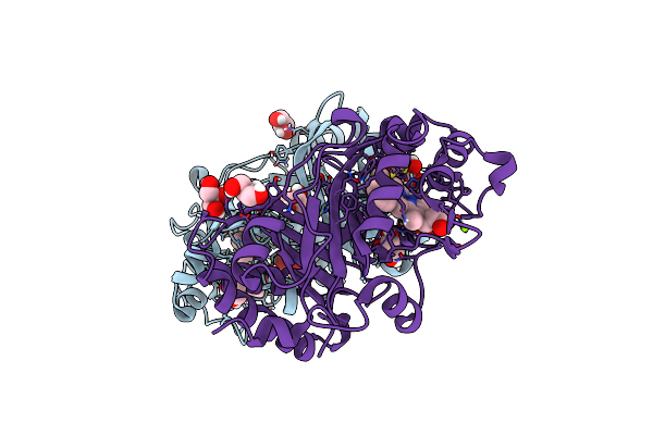 6RR1 image