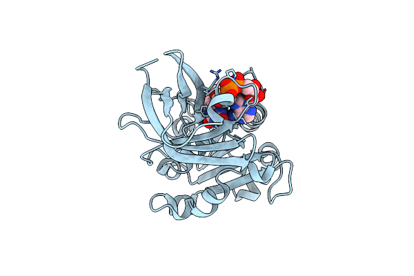 6RR3 image