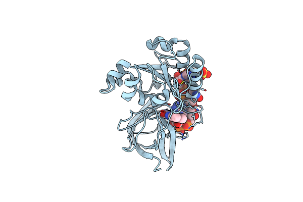 6RRA image