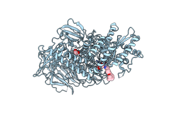 6RRJ image