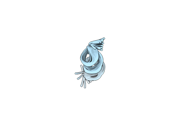 6RRL image