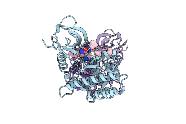 6RSB image