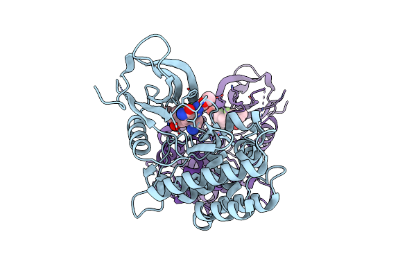 6RSE image