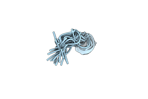 6RSM image