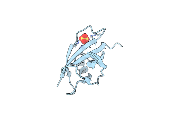 6RSN image