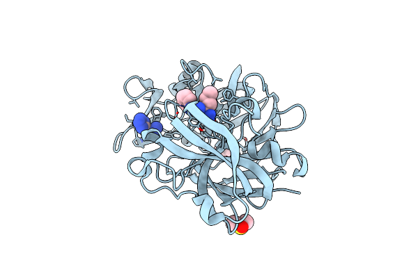 6RSV image