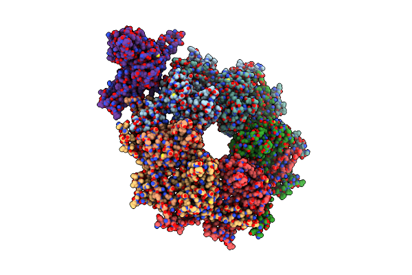 6RTL image