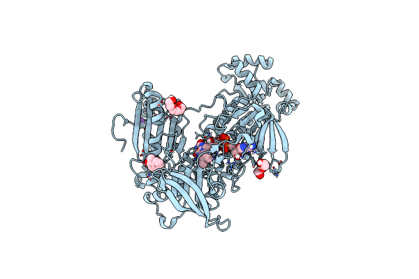 6RTM image