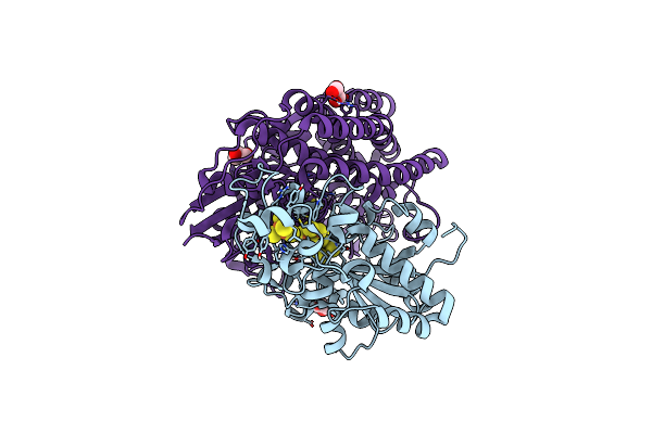 6RTP image