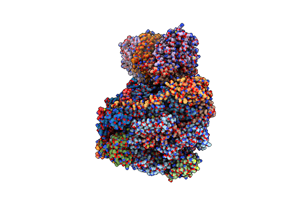 6RUO image