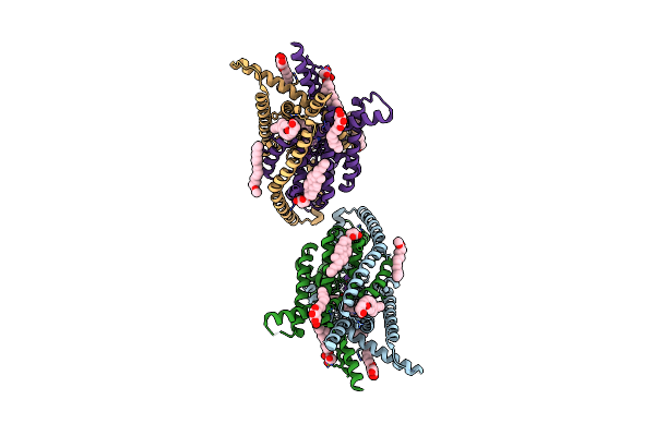 6RV3 image