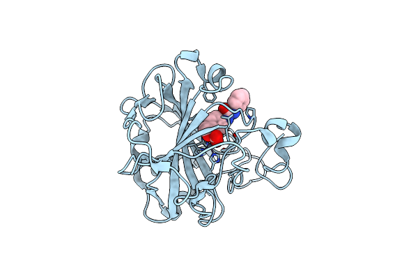 6RVF image