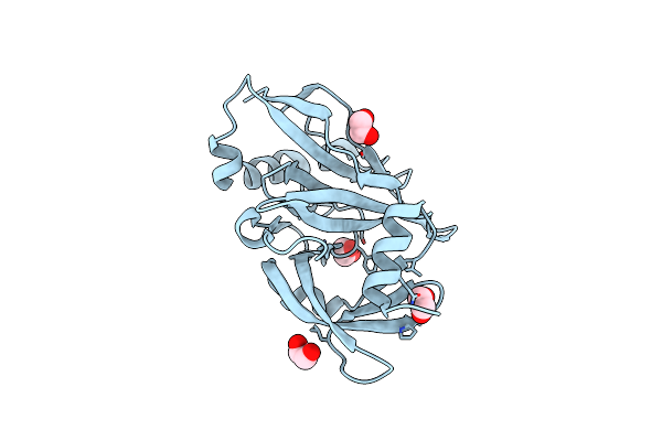 6RVU image