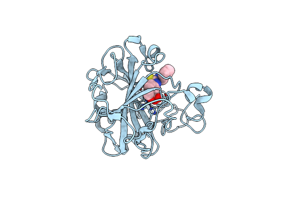 6RW1 image