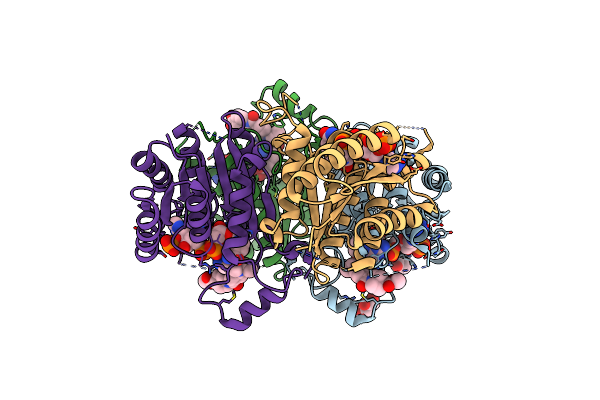 6RX0 image