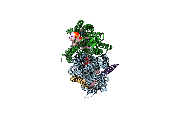 6RX4 image
