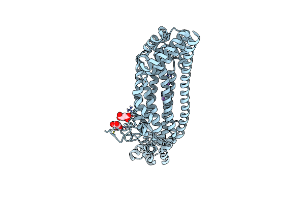 6RX8 image