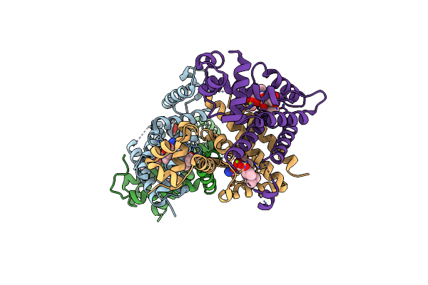 6RXB image