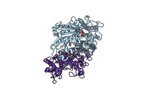 6RXG image
