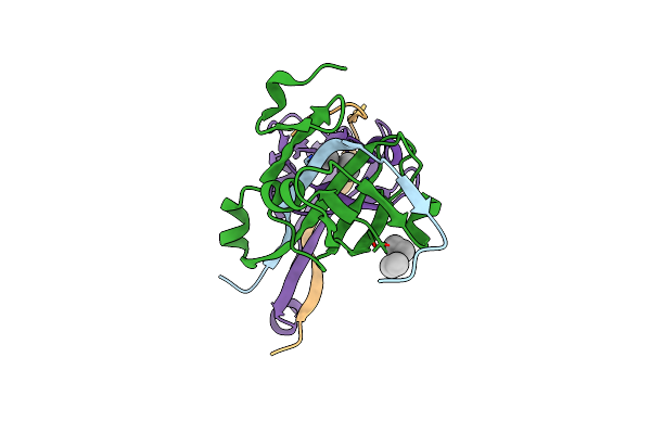 6RXH image