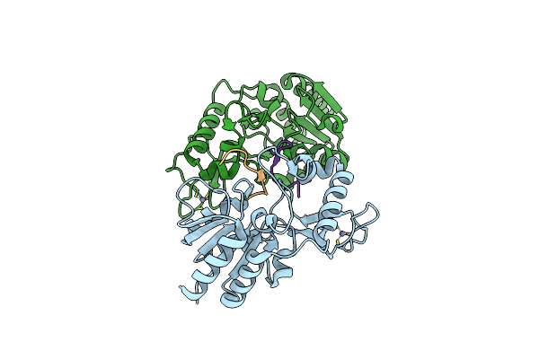 6RXP image
