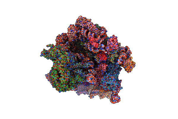 6RXT image